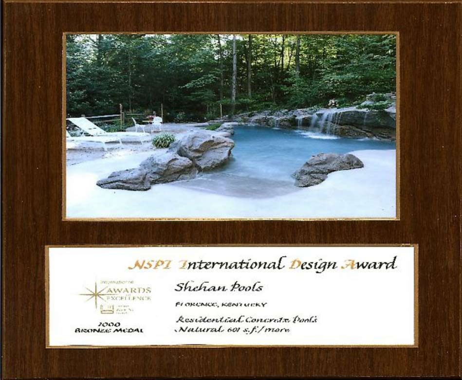 NSPI International Design Award