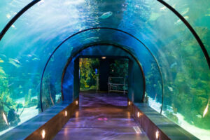Underwater Viewing Windows